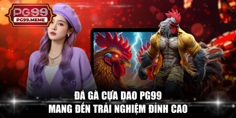 Đá gà cựa dao PG99 mang đến trải nghiệm đỉnh cao 