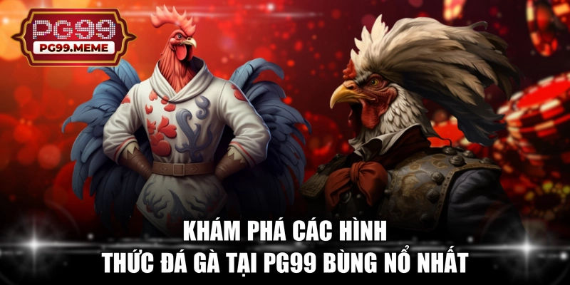 Khám phá các hình thức đá gà tại PG99 bùng nổ nhất 